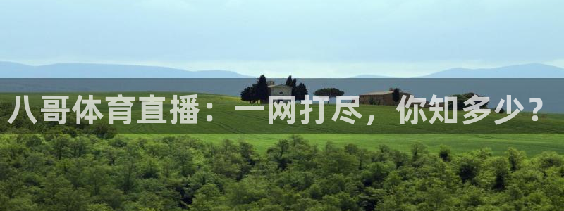 919直播吧体育：八哥体育直播：一网打尽，你知多少？