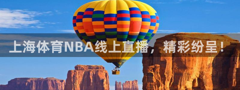 919直播体育在线直播在线看：上海体育NBA线上直播，精彩纷呈！