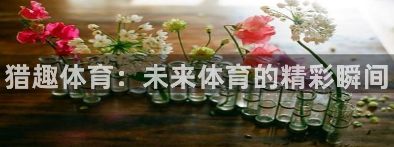 919篮球直播：猎趣体育：未来体育的精彩瞬间