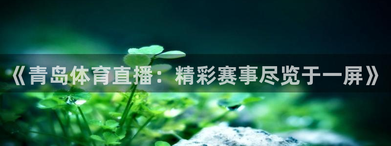 919球赛直播：《青岛体育直播：精彩赛事尽览于一屏》