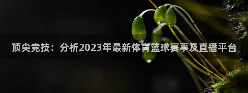 919看球直播nba：顶尖竞技：分析2023年最新体育篮球赛事及直播平台