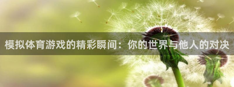 919zb体育直播：模拟体育游戏的精彩瞬间：你的世界与他人的对决