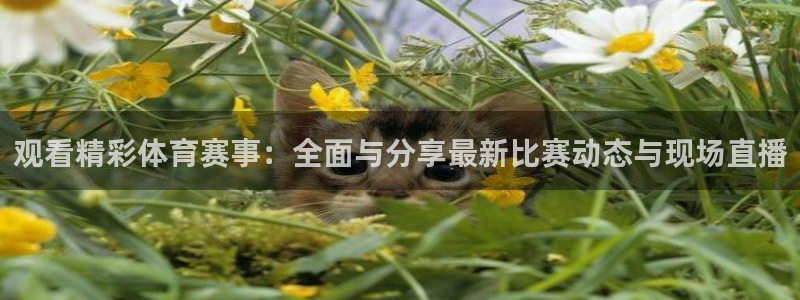 919直播在线看球：观看精彩体育赛事：全面与分享最新比赛动态与现场直播