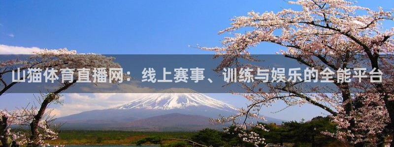 01zbtv直播体育919：山猫体育直播网：线上赛事、训练与娱乐的全能平台