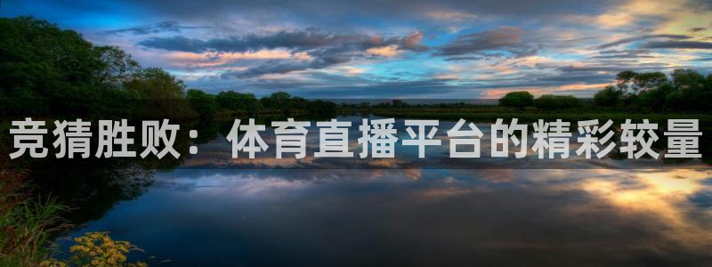 919看球直播官网入口：竞猜胜败：体育直播平台的精彩较量