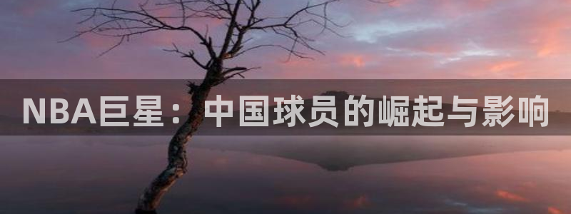 919足球直播间：NBA巨星：中国球员的崛起与影响