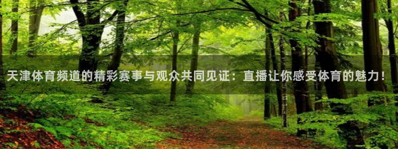 919球赛直播：天津体育频道的精彩赛事与观众共同见证：直播让你感受体育的魅力！
