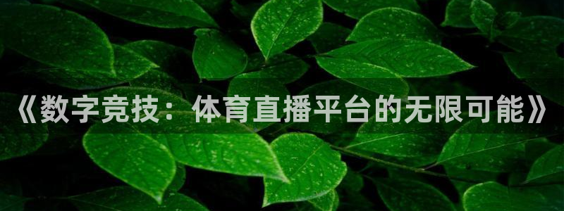 919体育直播苹果版：《数字竞技：体育直播平台的无限可能》