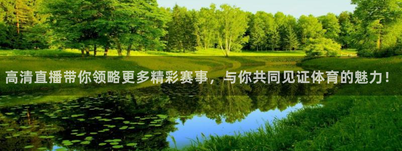 919体育直播在线观看：高清直播带你领略更多精彩赛事，与你共同见证体育的魅力！