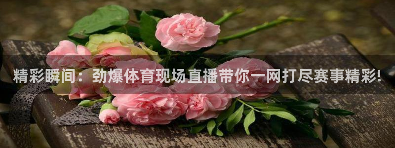 919直播间：精彩瞬间：劲爆体育现场直播带你一网打尽赛事精彩!