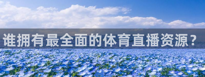 919足球直播间：谁拥有最全面的体育直播资源？