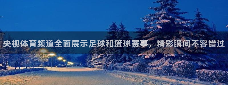 919看球直播app：央视体育频道全面展示足球和篮球赛事，精彩瞬间不容错过