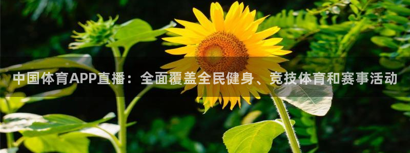 919nba直播篮球比赛：中国体育APP直播：全面覆盖全民健身、竞技体育和赛事活动