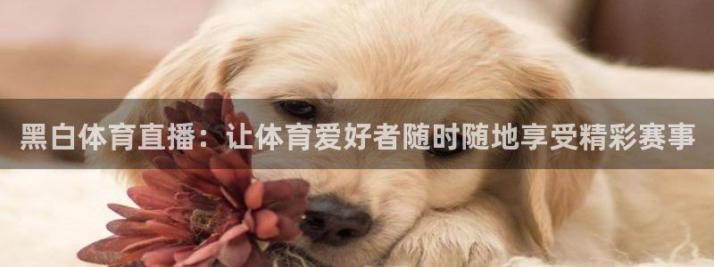 919直播间官网：黑白体育直播：让体育爱好者随时随地享受精彩赛事