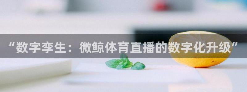 919看球直播官网入口：“数字孪生：微鲸体育直播的数字化升级”